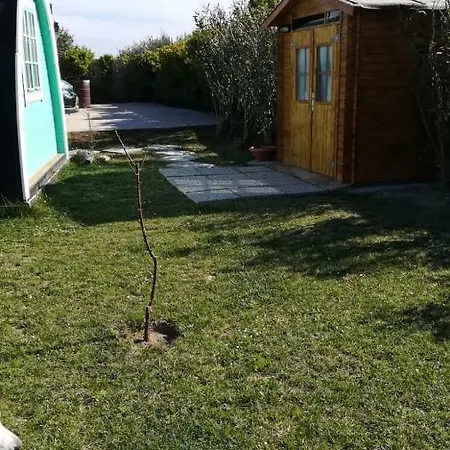 Guest house Bungalow Sardegna Relax *